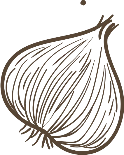 Onion Vector