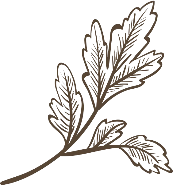 Leaf Vector
